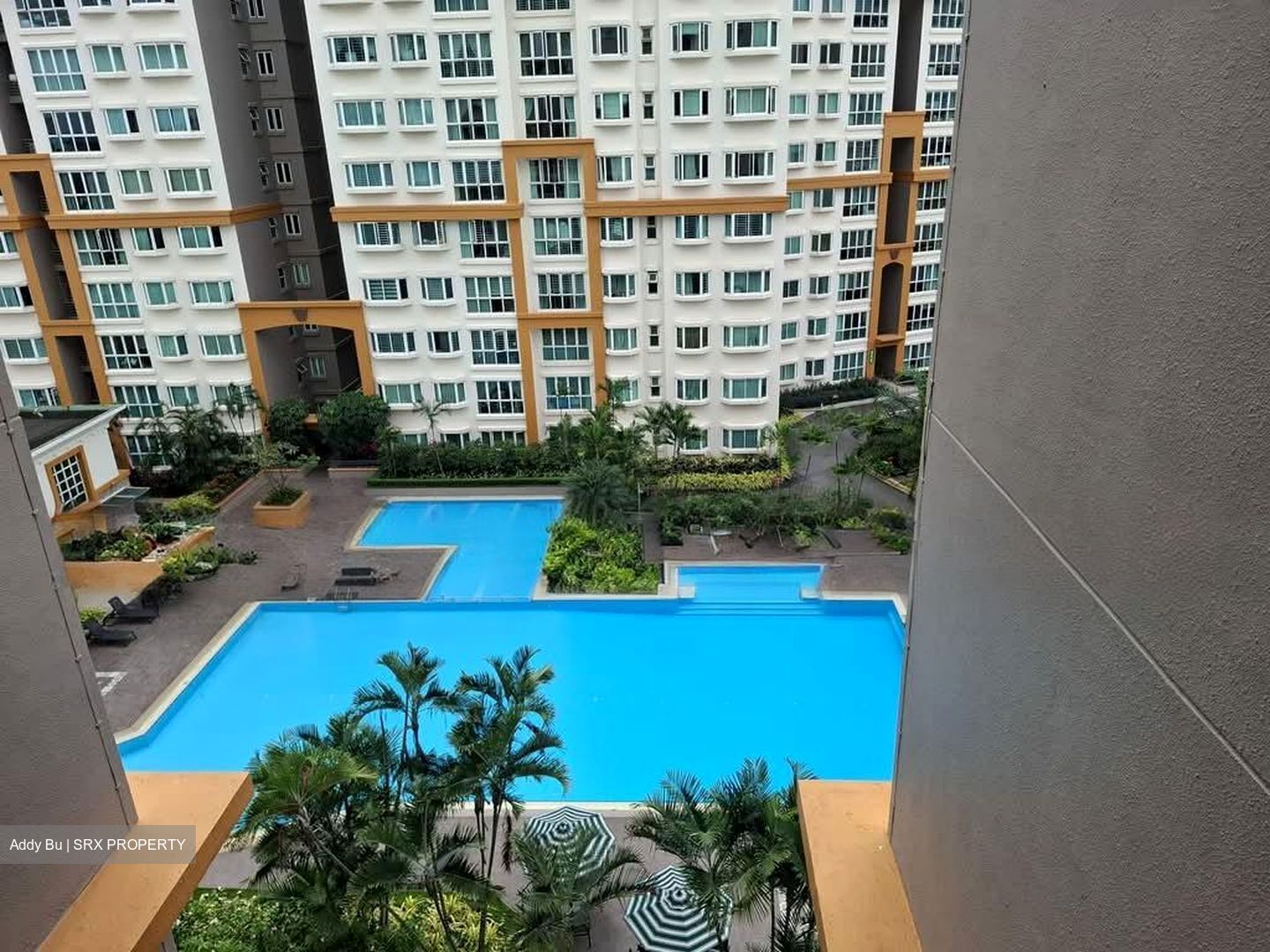 Evergreen Park (D19), Apartment #568160011